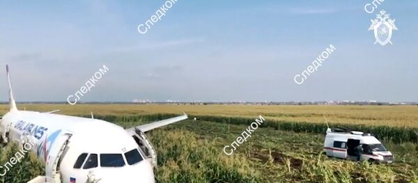 طائرة إيرباص A321 بعد اصطدام محركاتها بسرب طيور - سبوتنيك عربي