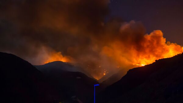 حريق غابات بجزر الكناري في إسبانيا - سبوتنيك عربي