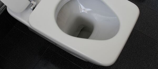 مرحاض - سبوتنيك عربي