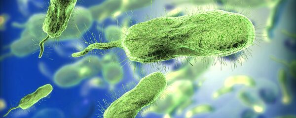 جراثيم - سبوتنيك عربي