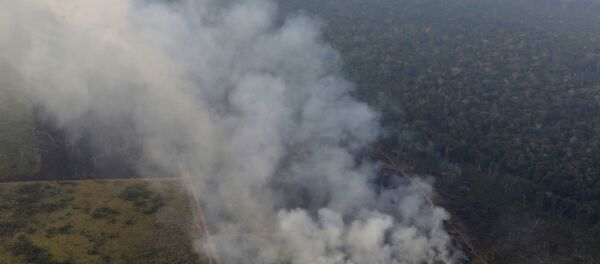 غابات الأمازون تحترق - سبوتنيك عربي