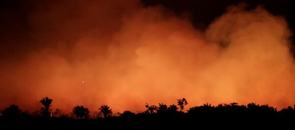 غابات الأمازون تحترق غابات الأمازون تحترق - سبوتنيك عربي