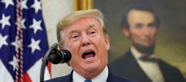 الرئيس الأمريكي دونالد ترامب - سبوتنيك عربي