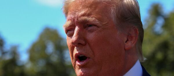 الرئيس الأمريكي دونالد ترامب - سبوتنيك عربي