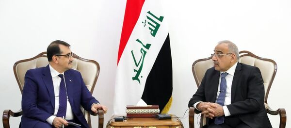 وزير الطاقة التركي يصل العراق  - سبوتنيك عربي