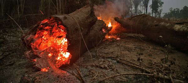 حرائق غابات الأمازون، البرازيل أغسطس/ آب 2019 حرائق غابات الأمازون، البرازيل أغسطس/ آب 2019 - سبوتنيك عربي