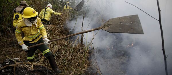 حرائق غابات الأمازون، البرازيل أغسطس/ آب 2019 - سبوتنيك عربي