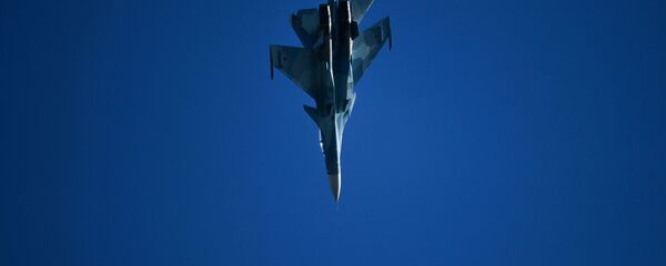 طائرة سو-30إس إم في المعرض الدولي ماكس 2019 في مطار جوكوفسكي - سبوتنيك عربي