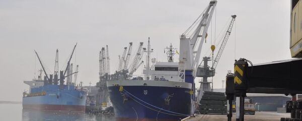 ميناء الواصلية الواقع في محافظة البصرة في جنوب العراق - سبوتنيك عربي