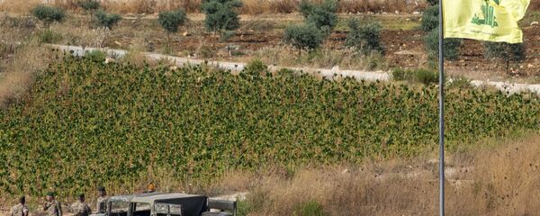 علم حزب الله، جنوب لبنان، الجنوب اللبناني، 27 أغسطس 2019 - سبوتنيك عربي