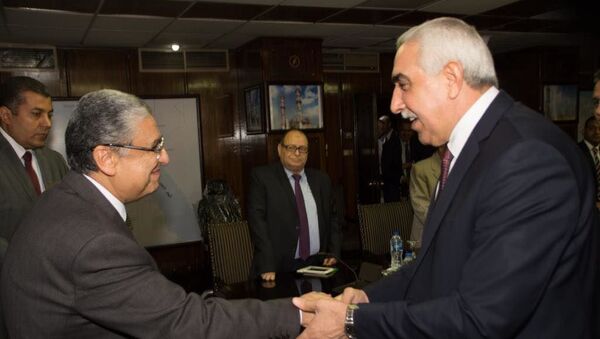 وزير الخارجية المصري يستقبل سفير العراق في مصر  - سبوتنيك عربي