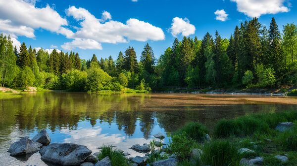 الطبيعة في فنلندا - سبوتنيك عربي