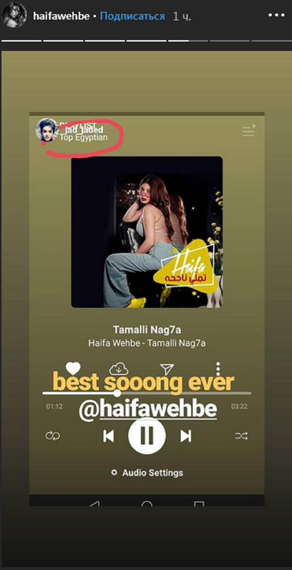 هيفاء وهبي تشارك جمهورها أغانيها على ستوري إنستغرام - سبوتنيك عربي