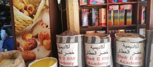 طب الفراعنة - سبوتنيك عربي