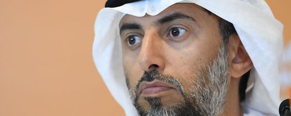 سهيل المزروعي - سبوتنيك عربي