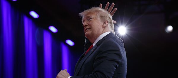 الرئيس الأمريكي دونالد ترامب - سبوتنيك عربي