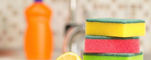 إسفنج لغسل الصحون - سبوتنيك عربي