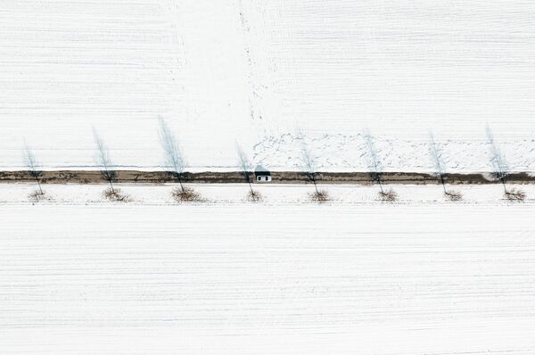 الطريق السريع بين الحقول المغطاة بالثلوج - سبوتنيك عربي