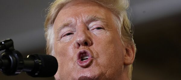 الرئيس الأمريكي دونالد ترامب الرئيس الأمريكي دونالد ترامب - سبوتنيك عربي