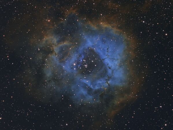 صورة بعنوان زهرة النجوم (Stellar Flower)،  للمصور الهولندي ديفي فان دير هوفن، البالغ من العمر 11 عامًا، الحائز على المركز الأول في فئة التصوير الفلكي للمصورين الفلكيين اليافعيين (YOUNG ASTRONOMY PHOTOGRAPHER OF THE YEAR) - سبوتنيك عربي