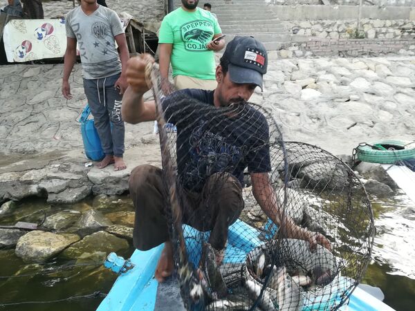 بالصور والفيديو... يوميات صياد في نيل مصر  - سبوتنيك عربي