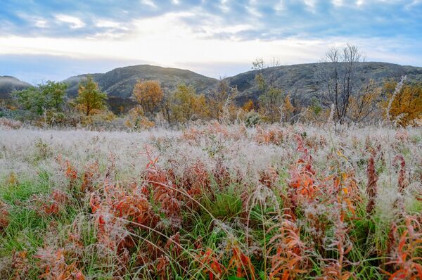 الصقيع بالقرب من نهر تيتوفكا في منطقة مورمانسك الروسية - سبوتنيك عربي