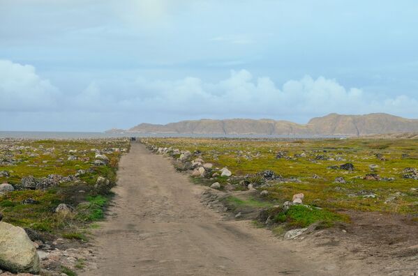 مناظر تطل على ضواحي قرية تيريبيركا في منطقة مورمانسك الروسية - سبوتنيك عربي