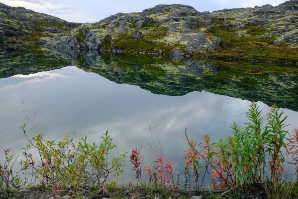 منظر يطل على الصخور في شبه جزيرة ريباتشي في منطقة مورمانسك الروسية - سبوتنيك عربي