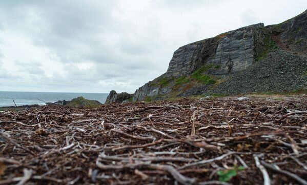 الصخور منطقة رأس كيكورسكي في شبه جزيرة ريباتشي في منطقة مورمانسك الروسية - سبوتنيك عربي
