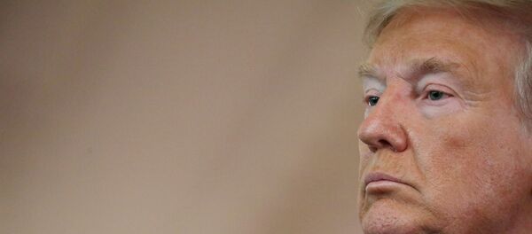 الرئيس الأمريكي دونالد ترامب - سبوتنيك عربي