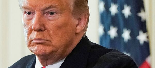 الرئيس الأمريكي دونالد ترامب - سبوتنيك عربي