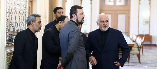 وزير الخارجية الإيراني محمد جواد ظريف - سبوتنيك عربي