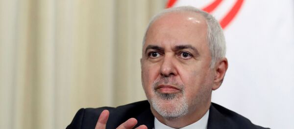 وزير الخارجية الإيراني محمد جواد ظريف - سبوتنيك عربي