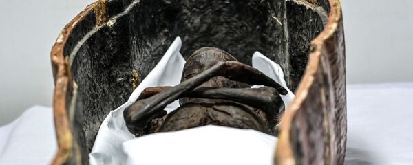 مومياء سنجام، مسؤول العمال (رئيس العمال) خلال عصر الفرعون سيتي الأول ورمسيس الثاني للأسرة 19 (القرن 13-12 ق.م.)، في المتحف القومي للحضارة المصرية، 21 سبتمبر/ أيلول 2019 - سبوتنيك عربي