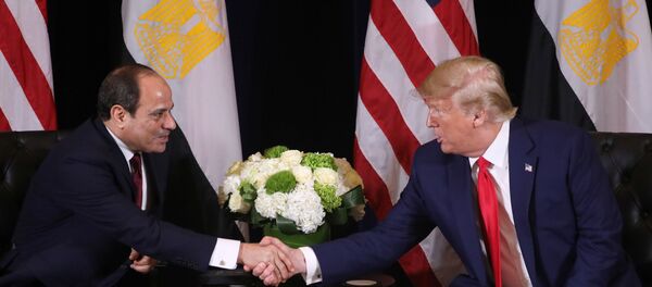 الرئيس الأمريكي دونالد ترامب يلتقي الرئيس المصري في نيويورك - سبوتنيك عربي