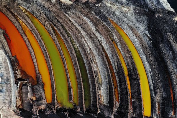 صورة بعنوان بقايا الغابة، للمصور جي هنري فير، الحاصل على جائزة تغير المناخ والطاقة لعام 2019، في مسابقة المصور البيئي لعام 2019 صورة بعنوان بقايا الغابة، للمصور جي هنري فير، الحاصل على جائزة تغير المناخ والطاقة لعام 2019، في مسابقة المصور البيئي لعام 2019 - سبوتنيك عربي