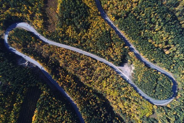 جزء من الطريق السريع الفيدرالي P257 ينيسي في محيط كراسنويارسك الروسية - سبوتنيك عربي