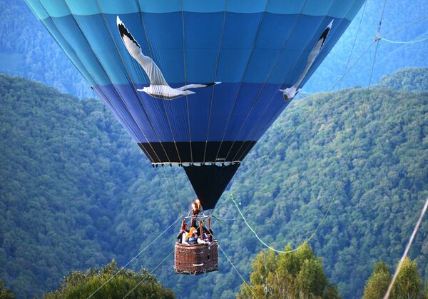 مهرجان المناطيد الهوائية في حديقة سوتشي - سبوتنيك عربي