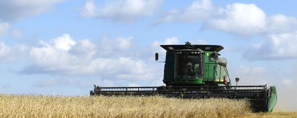 حصاد القمح، منطقة نوفوسيبيرسك، روسيا، الزراعة، الاقتصاد، قمح، اقتصاد حصاد القمح، منطقة نوفوسيبيرسك، روسيا، الزراعة، الاقتصاد، قمح، اقتصاد - سبوتنيك عربي