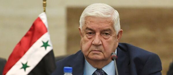 وزير الخارجية السوري وليد المعلم - سبوتنيك عربي