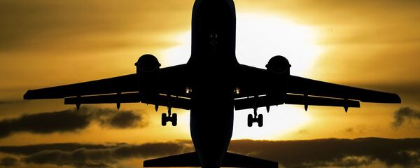 طائرة - سبوتنيك عربي