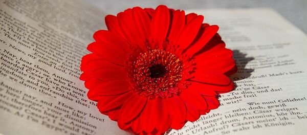 فن الكتابة في الأدب فن الكتابة في الأدب - سبوتنيك عربي