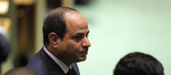 الرئيس المصري عبد الفتاح السيسي - سبوتنيك عربي