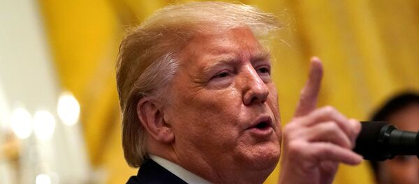 الرئيس الأمريكي دونالد ترامب - سبوتنيك عربي