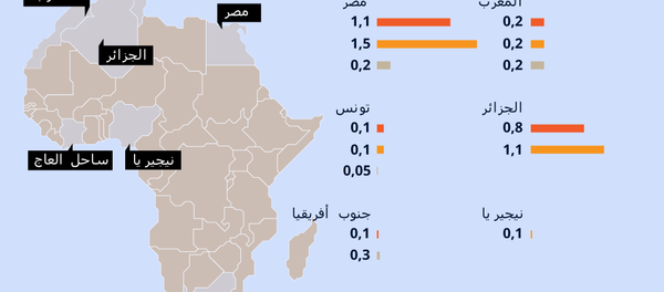 التعاون الاقتصادي بين روسيا ودول أفريقيا - سبوتنيك عربي