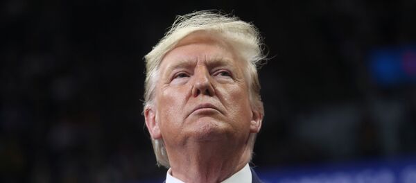 الرئيس الأمريكي دونالد ترامب - سبوتنيك عربي