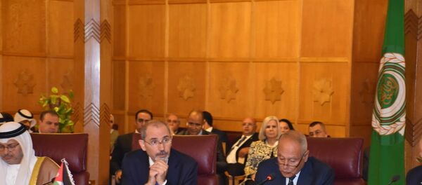 أبو الغيط - سبوتنيك عربي