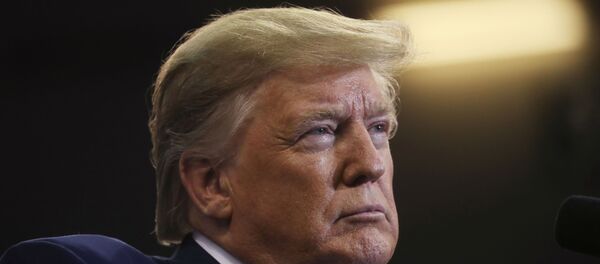 الرئيس الأمريكي دونالد ترامب - سبوتنيك عربي