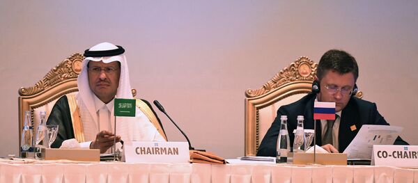 وزير الطاقة الروسي الكسندر نوفاك  - سبوتنيك عربي