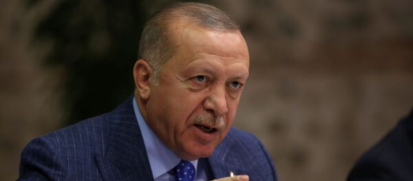 أردوغان - سبوتنيك عربي